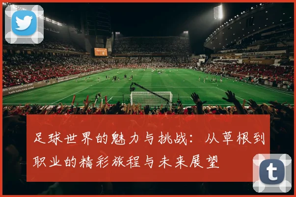 足球世界的魅力与挑战：从草根到职业的精彩旅程与未来展望