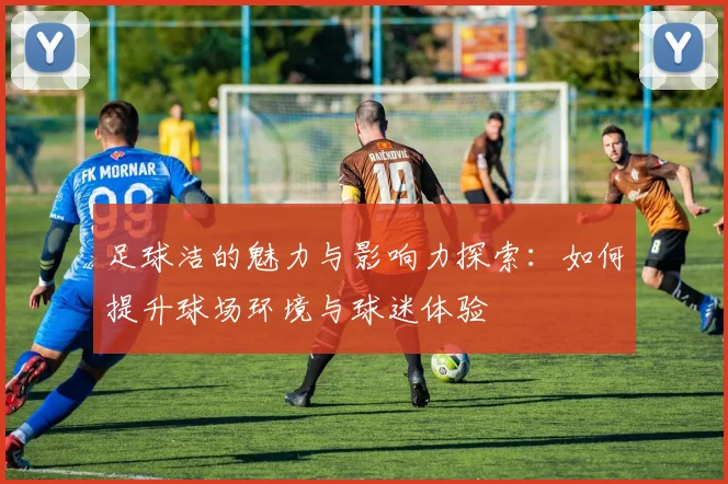 足球洁的魅力与影响力探索：如何提升球场环境与球迷体验