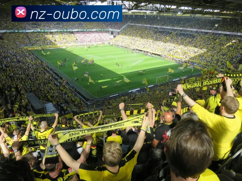 稳定公正APP 体育赛事宣传图